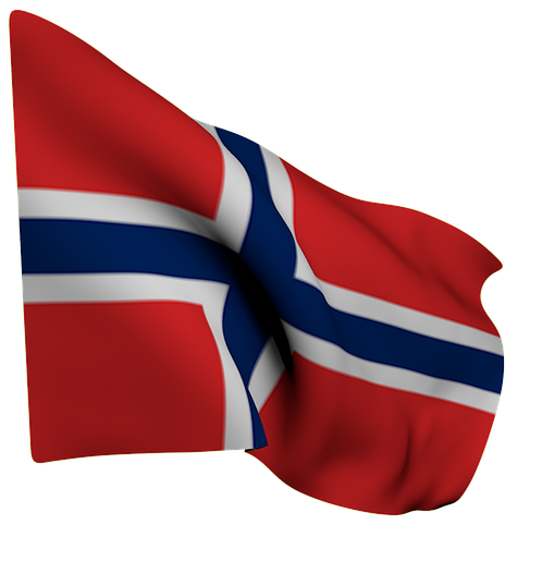 Shipping to Norway - For each shipment - no matter the weight, a handler will charge a fee