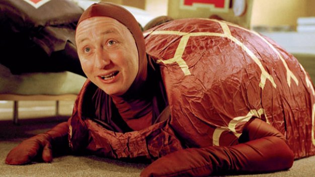 Toms - Kæmpe Skildpadder 3stk